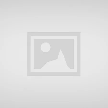 Professional Services